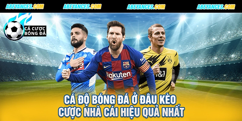 Cá độ bóng đá ở đâu kèo cược nhà cái hiệu quả nhất