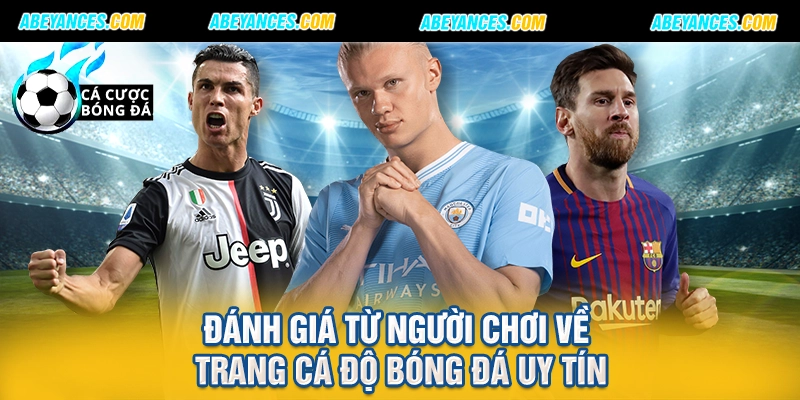 Đánh giá từ người chơi về trang cá độ bóng đá uy tín