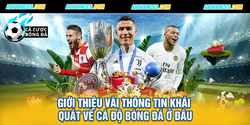 Giới thiệu vài thông tin khái quát về cá độ bóng đá ở đâu