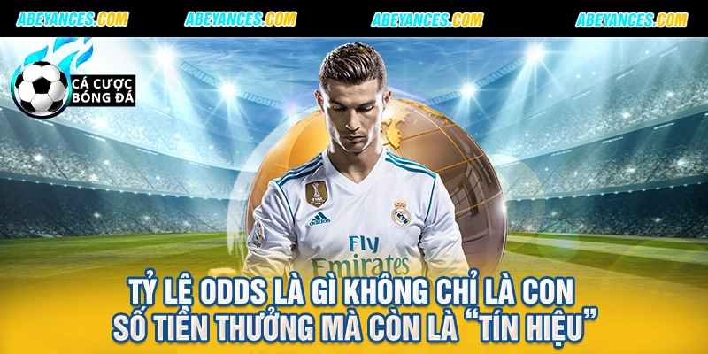 Tỷ lệ Odds là gì không chỉ là con số tiền thưởng mà còn là “tín hiệu”