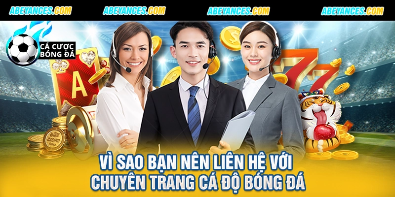 Vì sao bạn nên liên hệ với chuyên trang cá độ bóng đá