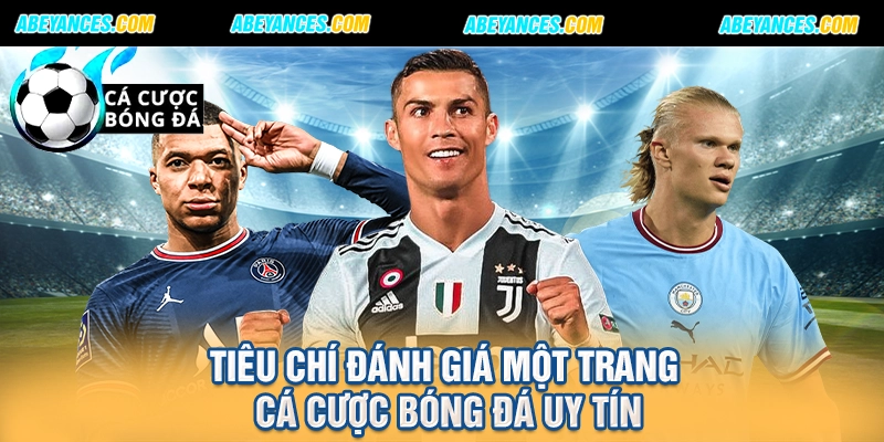 Tiêu chí đánh giá một trang cá cược bóng đá uy tín