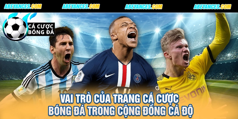 Vai trò của trang cá cược bóng đá trong cộng đồng cá độ