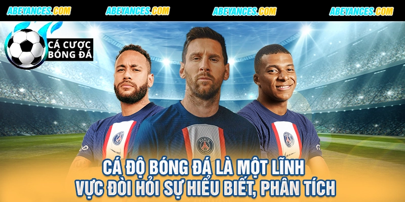 Cá độ bóng đá là một lĩnh vực đòi hỏi sự hiểu biết, phân tích