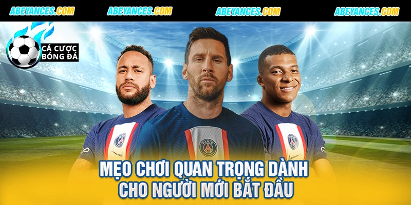 Mẹo chơi quan trọng dành cho người mới bắt đầu