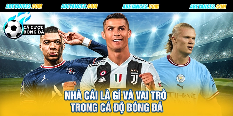 Nhà cái là gì và vai trò trong cá độ bóng đá
